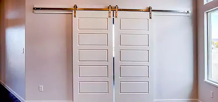 Glass Barn Door with Installation Hardware Kit Ridgewood
