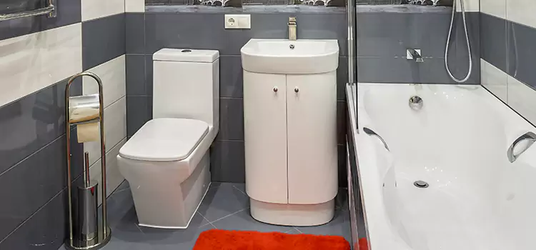 Hansgrohe Shaving Mirror Ridgewood